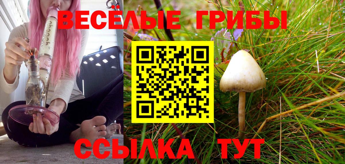 Сафоново  Галлюциногенные грибы мицелий  Вход с VPN  Псилоцибиновые грибы прущие грибы 